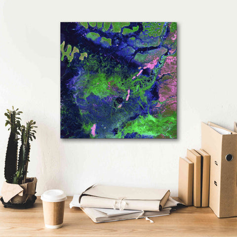 Image of 'Earth as Art: Wondrous Wetlands,' Canvas Wall Art,18 x 18