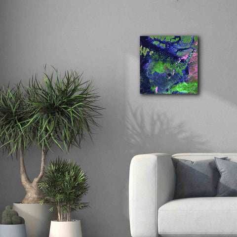 Image of 'Earth as Art: Wondrous Wetlands,' Canvas Wall Art,18 x 18
