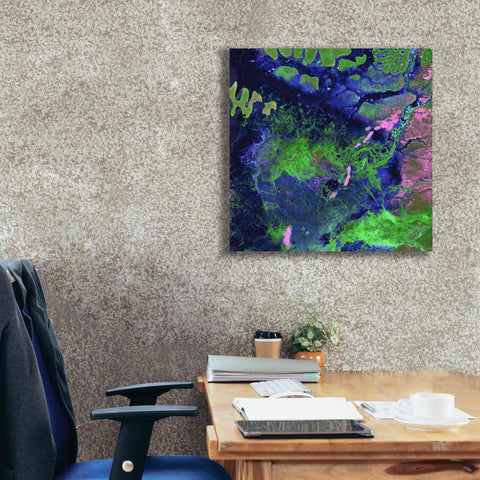 Image of 'Earth as Art: Wondrous Wetlands,' Canvas Wall Art,26 x 26