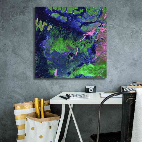 Image of 'Earth as Art: Wondrous Wetlands,' Canvas Wall Art,26 x 26