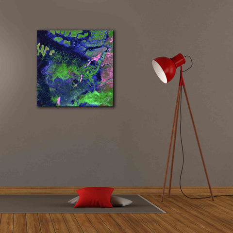 Image of 'Earth as Art: Wondrous Wetlands,' Canvas Wall Art,26 x 26