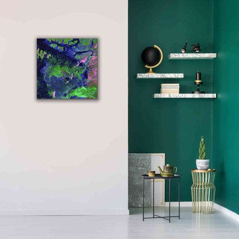 Image of 'Earth as Art: Wondrous Wetlands,' Canvas Wall Art,26 x 26