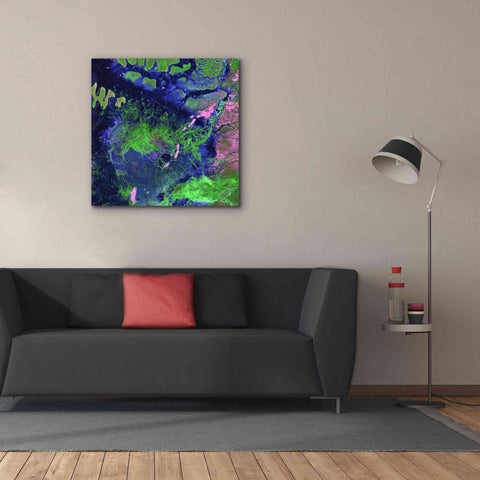 Image of 'Earth as Art: Wondrous Wetlands,' Canvas Wall Art,37 x 37