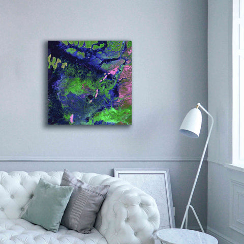 Image of 'Earth as Art: Wondrous Wetlands,' Canvas Wall Art,37 x 37