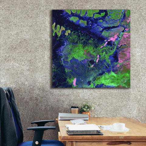 Image of 'Earth as Art: Wondrous Wetlands,' Canvas Wall Art,37 x 37