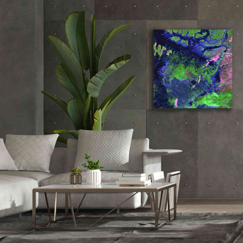 Image of 'Earth as Art: Wondrous Wetlands,' Canvas Wall Art,37 x 37