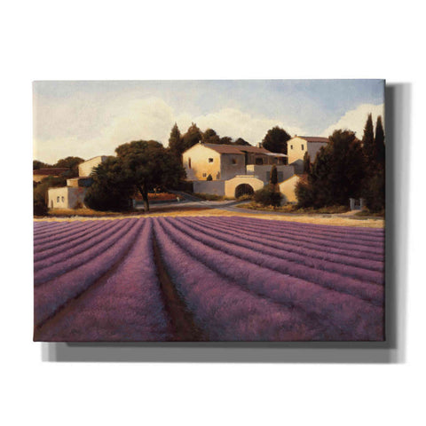 Image of Epic Art 'Lavender Fields I' by James Wiens, Canvas Wall Art,16x12x1.1x0,24x20x1.1x0,30x26x1.74x0,54x40x1.74x0
