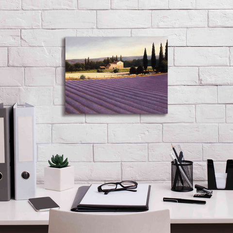 Image of Epic Art 'Lavender Fields II' by James Wiens, Canvas Wall Art,16 x 12