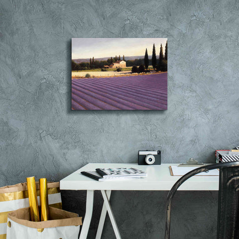 Image of Epic Art 'Lavender Fields II' by James Wiens, Canvas Wall Art,16 x 12