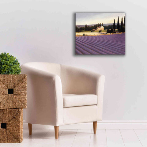 Image of Epic Art 'Lavender Fields II' by James Wiens, Canvas Wall Art,24 x 20
