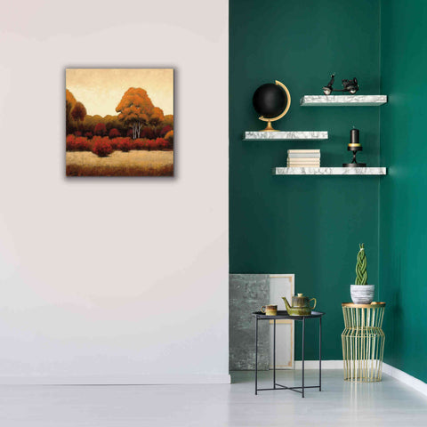 Image of Epic Art 'Autumn Forest I' by James Wiens, Canvas Wall Art,26 x 26