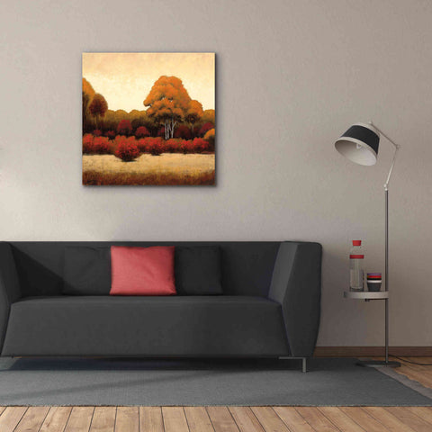Image of Epic Art 'Autumn Forest I' by James Wiens, Canvas Wall Art,37 x 37