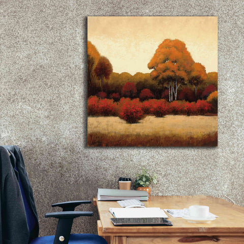 Image of Epic Art 'Autumn Forest I' by James Wiens, Canvas Wall Art,37 x 37