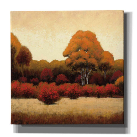 Image of Epic Art 'Autumn Forest I' by James Wiens, Canvas Wall Art,12x12x1.1x0,18x18x1.1x0,26x26x1.74x0,37x37x1.74x0