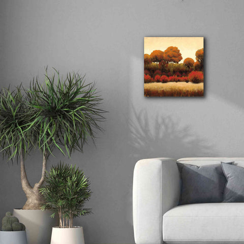 Image of Epic Art 'Autumn Forest II' by James Wiens, Canvas Wall Art,18 x 18