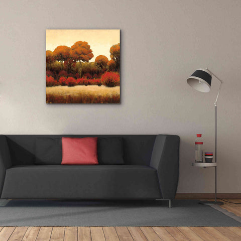 Image of Epic Art 'Autumn Forest II' by James Wiens, Canvas Wall Art,37 x 37