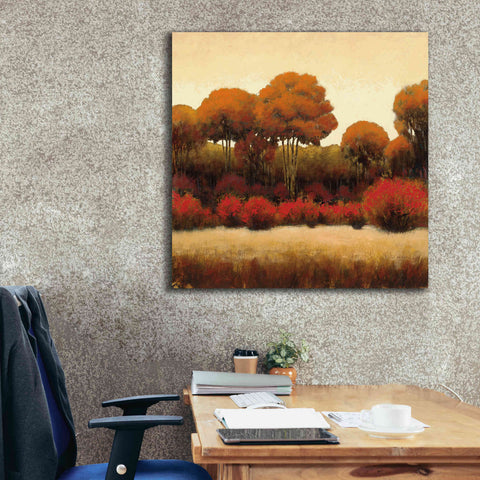 Image of Epic Art 'Autumn Forest II' by James Wiens, Canvas Wall Art,37 x 37