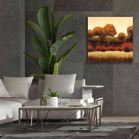 Image of Epic Art 'Autumn Forest II' by James Wiens, Canvas Wall Art,37 x 37