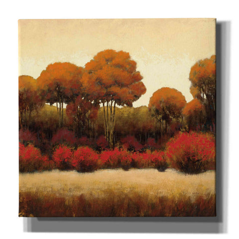 Image of Epic Art 'Autumn Forest II' by James Wiens, Canvas Wall Art,12x12x1.1x0,18x18x1.1x0,26x26x1.74x0,37x37x1.74x0