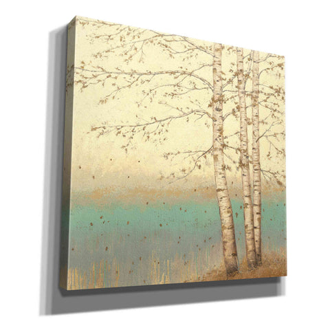 Image of Epic Art 'Golden Birch II' by James Wiens, Canvas Wall Art,12x12x1.1x0,18x18x1.1x0,26x26x1.74x0,37x37x1.74x0