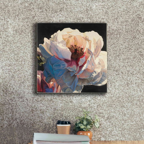 Image of Epic Art 'Morning Glow I' by James Wiens, Canvas Wall Art,18 x 18