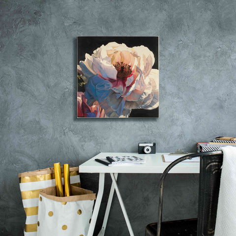 Image of Epic Art 'Morning Glow I' by James Wiens, Canvas Wall Art,18 x 18