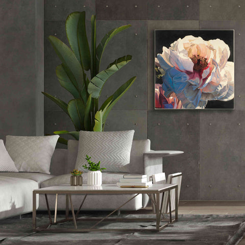 Image of Epic Art 'Morning Glow I' by James Wiens, Canvas Wall Art,37 x 37