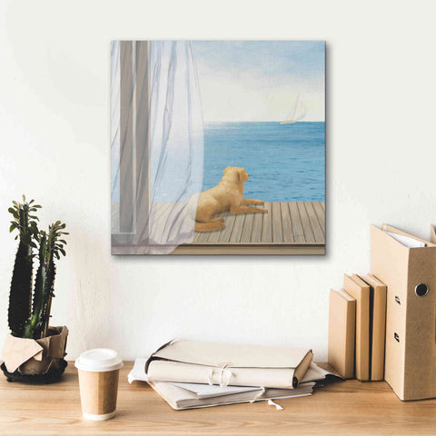 Image of Epic Art 'Blue Breeze II' by James Wiens, Canvas Wall Art,18 x 18