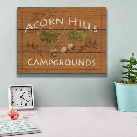 Image of Epic Art 'Lodge Signs I' by James Wiens, Canvas Wall Art,16 x 12