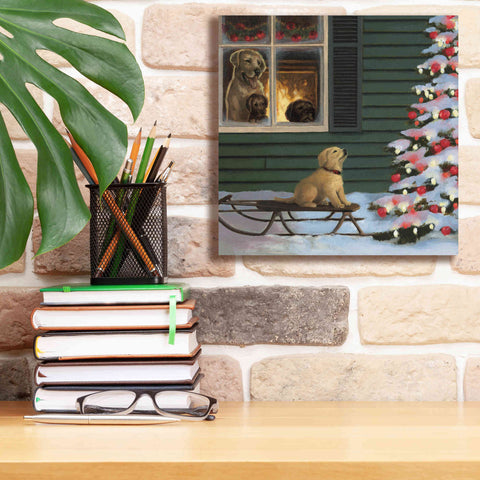 Image of Epic Art 'Make a Wish' by James Wiens, Canvas Wall Art,12 x 12