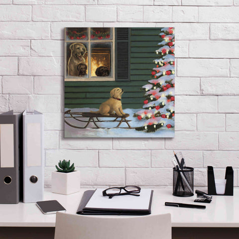 Image of Epic Art 'Make a Wish' by James Wiens, Canvas Wall Art,18 x 18