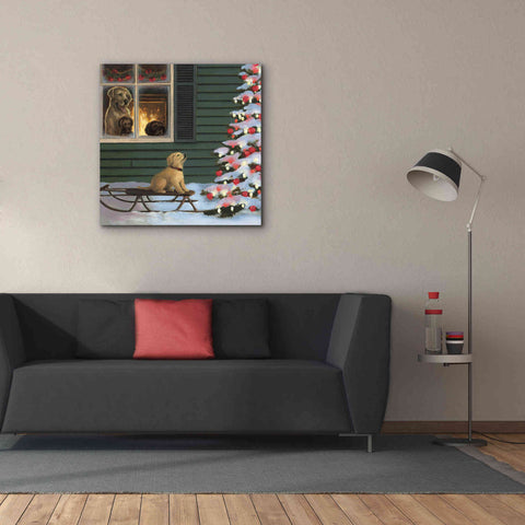 Image of Epic Art 'Make a Wish' by James Wiens, Canvas Wall Art,37 x 37