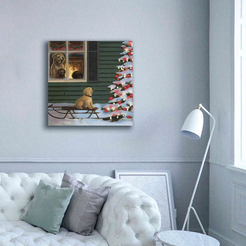 Image of Epic Art 'Make a Wish' by James Wiens, Canvas Wall Art,37 x 37