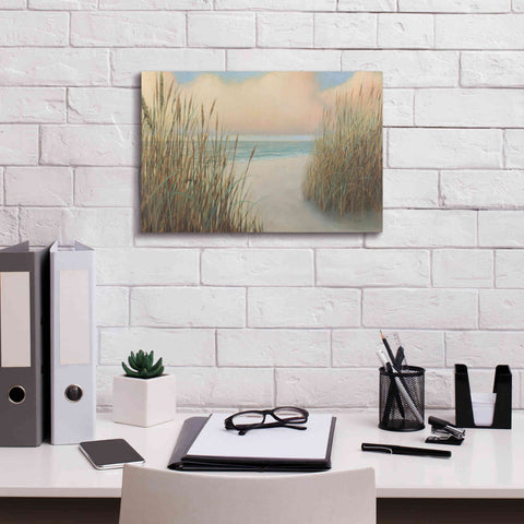 Image of Epic Art 'Beach Trail I' by James Wiens, Canvas Wall Art,18 x 12