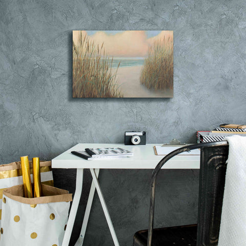 Image of Epic Art 'Beach Trail I' by James Wiens, Canvas Wall Art,18 x 12
