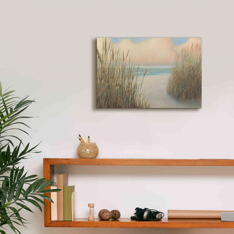 Image of Epic Art 'Beach Trail I' by James Wiens, Canvas Wall Art,18 x 12