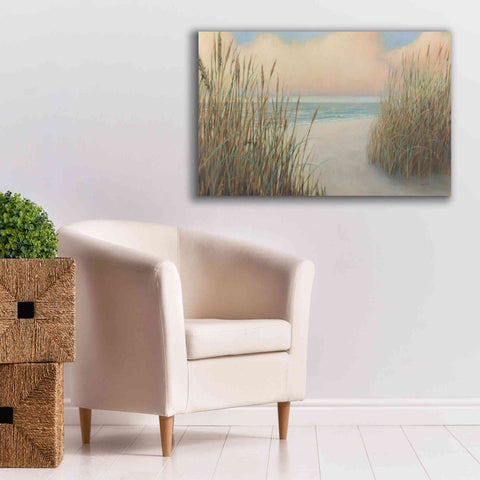 Image of Epic Art 'Beach Trail I' by James Wiens, Canvas Wall Art,40 x 26