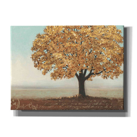 Image of Epic Art 'Gold Reflections I' by James Wiens, Canvas Wall Art,16x12x1.1x0,26x18x1.1x0,34x26x1.74x0,54x40x1.74x0