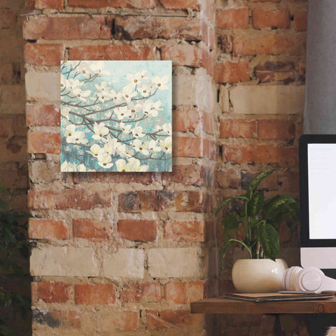 Image of Epic Art 'Dogwood Blossoms' by James Wiens, Canvas Wall Art,12 x 12