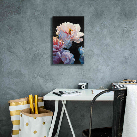 Image of Epic Art 'Morning Glow II' by James Wiens, Canvas Wall Art,12 x 18