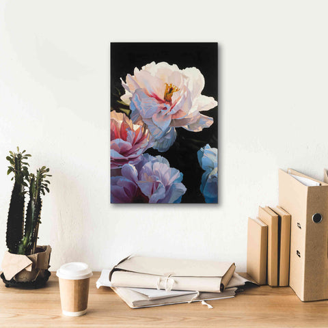 Image of Epic Art 'Morning Glow II' by James Wiens, Canvas Wall Art,12 x 18