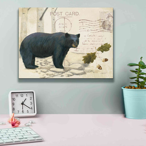 Image of Epic Art 'Northern Wild Bear' by James Wiens, Canvas Wall Art,16 x 12