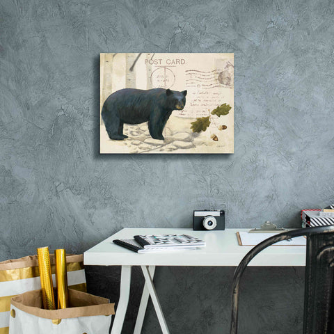 Image of Epic Art 'Northern Wild Bear' by James Wiens, Canvas Wall Art,16 x 12