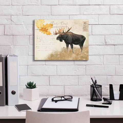 Image of Epic Art 'Northern Wild Moose' by James Wiens, Canvas Wall Art,16 x 12