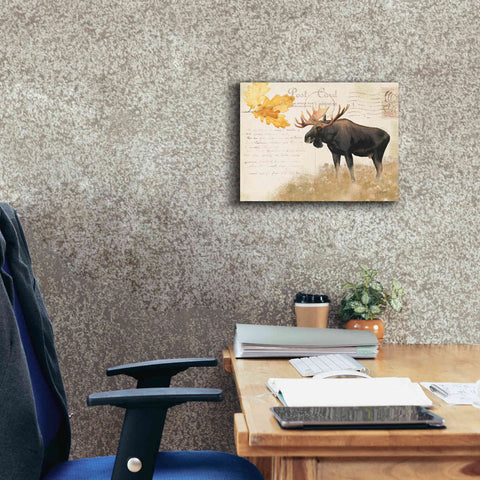 Image of Epic Art 'Northern Wild Moose' by James Wiens, Canvas Wall Art,16 x 12