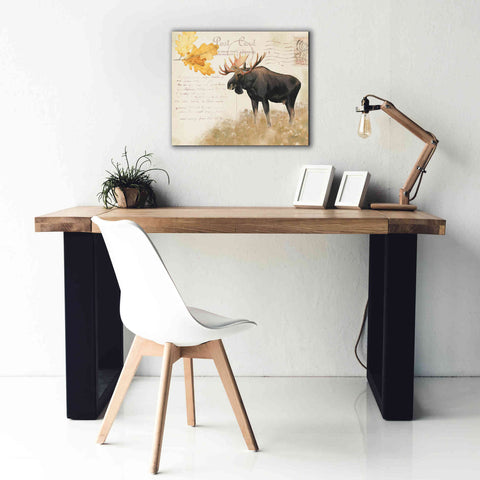 Image of Epic Art 'Northern Wild Moose' by James Wiens, Canvas Wall Art,24 x 20