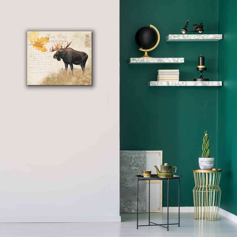 Image of Epic Art 'Northern Wild Moose' by James Wiens, Canvas Wall Art,24 x 20