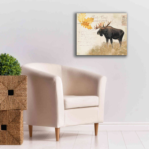 Image of Epic Art 'Northern Wild Moose' by James Wiens, Canvas Wall Art,24 x 20
