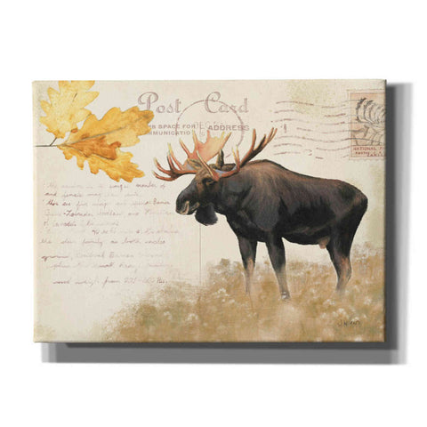 Image of Epic Art 'Northern Wild Moose' by James Wiens, Canvas Wall Art,16x12x1.1x0,24x20x1.1x0,30x26x1.74x0,54x40x1.74x0