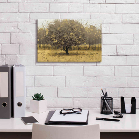 Image of Epic Art 'Golden Trees I' by James Wiens, Canvas Wall Art,18 x 12